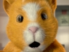 keyvis_detur_hamster_spot1_still002