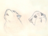 turby_v02_rough