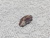 merkur_hohermarkt_eroeffnung_2012_00407